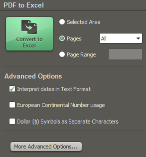Advanced PDF to Excel conversion options