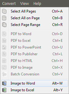 Convert Image to Word