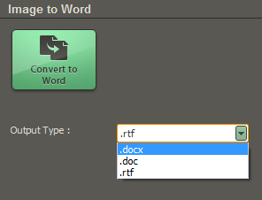 Image to Word conversion options