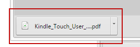 View Downloaded PDF