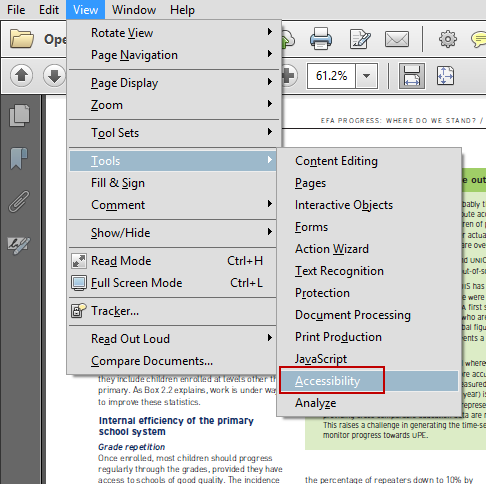 Acrobat Accessibility Option