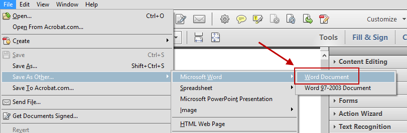 Acrobat Save Word Document