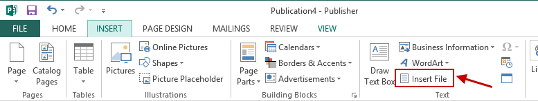 Publisher Insert File Option