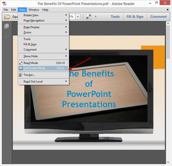 Adobe PDF Full Screen