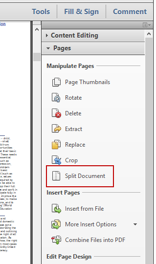 Split Document Option
