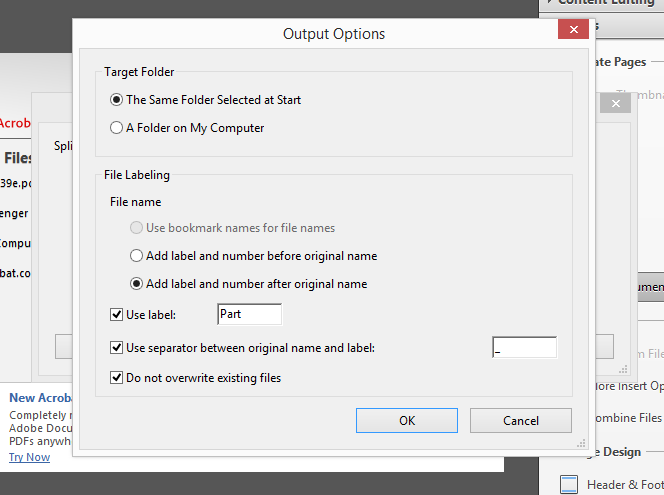 Output Options Dialog