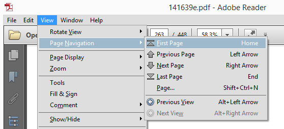 Reader Page Navigation Options