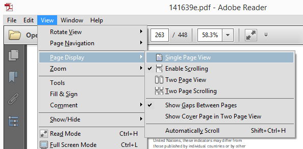 Adobe Page Display Options