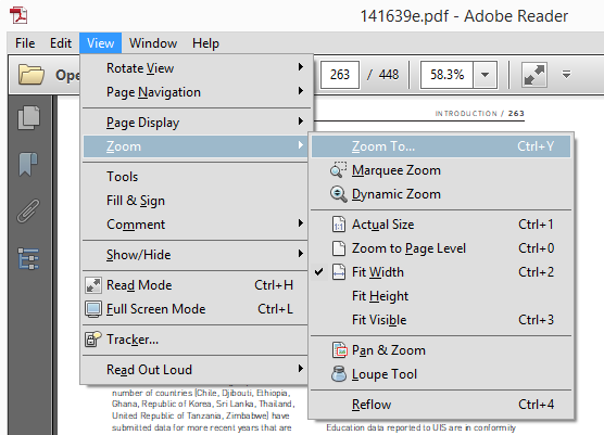 Reader PDF Zoom Options