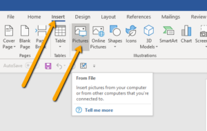 insert pdf into word document grainy image